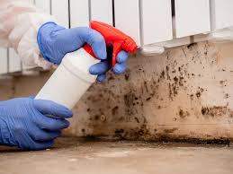 Why You Should Choose Our Mold Remediation Services in Goodwater, AL